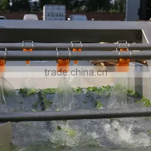 Good Quality High Pressure Vegetable Washing Machine thumbnail-2