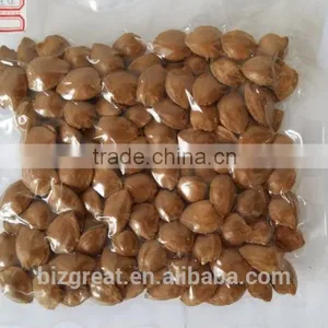 Supply With Chinese Bulk Spicy Flavored Roasted Apricot Kernels in Shell thumbnail-6
