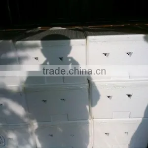 Fresh Fruit thumbnail-1