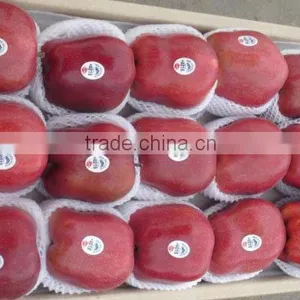 2015 Crop Fresh Red Delicious Apple thumbnail-4