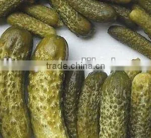 Canned Cucumber in Vinegar thumbnail-1