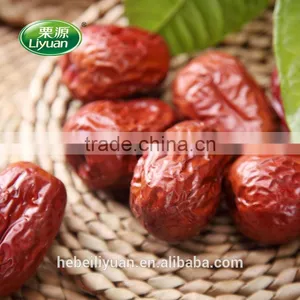 Xinjiang Chinese Dates Jujube thumbnail-1