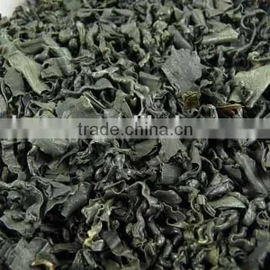 Spirulina Powder thumbnail-3