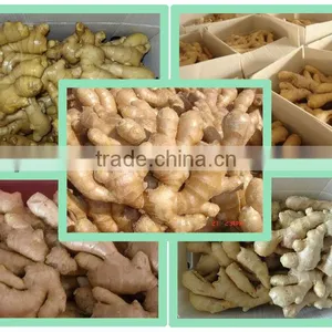Fresh Dry Ginger thumbnail-2