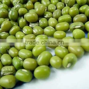 High Quality Dried Green Mung Bean From Vietnam for Sale thumbnail-1