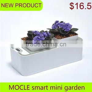 Ceramic Bonsai Pot thumbnail-1