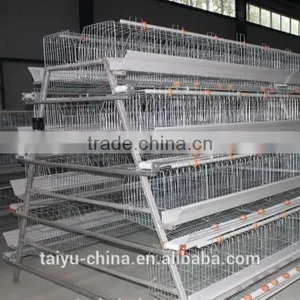 Poultry Farming Cages in Kenya thumbnail-2
