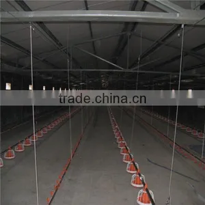 Chicken Broiler House Equipment thumbnail-1