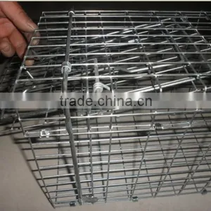 2015 the Most Popular Live Animal Traps (high Quality Wit Big Supply) thumbnail-5