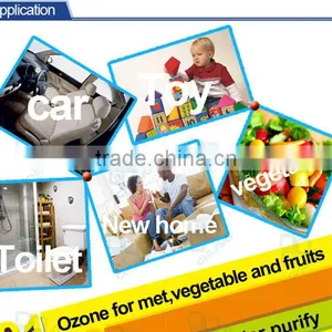 Wholesale 3g 5g 6g 7g 110V Household Use Ozone Generator thumbnail-4