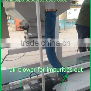Bagging Grain Beans Cereals Quantitive Weighing Filling Machine thumbnail-6