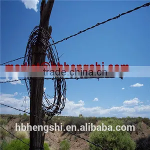 Chain Link Fence Paige Wire Fence Barbed Wire thumbnail-2