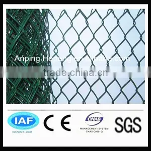 Green Hexagonal Wire Net thumbnail-1