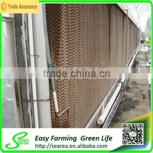 Commercial Greenhouse for Sale thumbnail-1