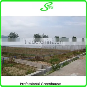 Hot Selling Commercial Used Greenhouse for Sale thumbnail-3