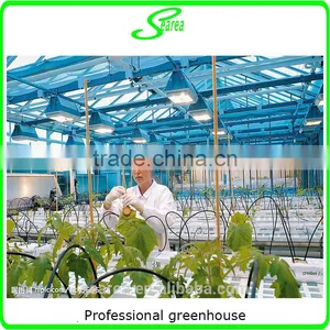 High-tech Greenhouses and Hydroponic Systems for Professional Growers thumbnail-2