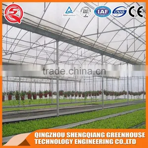 China Supplier Multi-span Plastic Film Agricultural Greenhouse for Sale thumbnail-6
