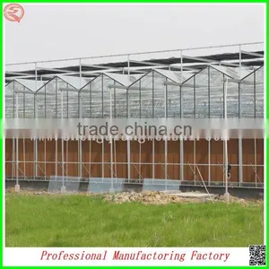 Super Size Muti-tunnel SQ-16.0 Glass Green House With Heating System and Cooling System thumbnail-1