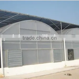 Tropic Greenhouse for Sale thumbnail-1