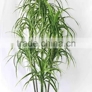 Office Decorative Green Plants thumbnail-1