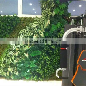 Artificial Green Wall for Gymnasium thumbnail-3