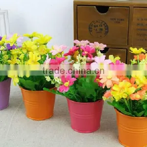 Outdoor Mini Herb Pots for Sale thumbnail-1