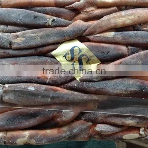 Frozen Squid Frozen Illex Argentinus Squid thumbnail-3