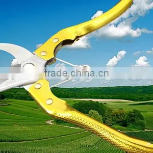Hot Sale Painted Coated Garden Shear thumbnail-1