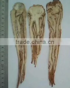 Danggui thumbnail-1