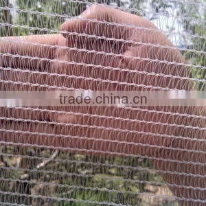 Anti Hail Nets thumbnail-2