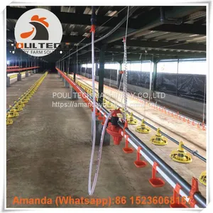 Salvador Poultry Farming Equipment Broiler Floor Raising System & Chicken Deep Litter System With Automatic Drinking& Feeding System in Chicken Coop thumbnail-1