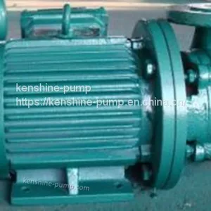 CWX Marine Centrifugal Vortex Pump thumbnail-4