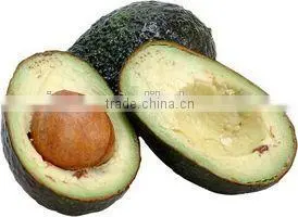 100% Pure and Natural Avocado Oils With GMP Certificated thumbnail-1