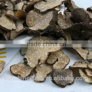 Dried Truffle Mushroom (in Fungus) thumbnail-4