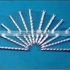 Top Selling Galvanized Twisted Nails China Manufacturer thumbnail-3