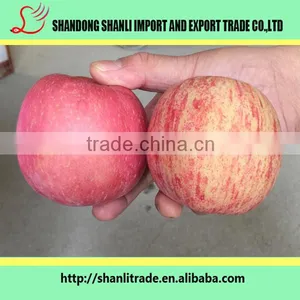 Red Delicious Apples ,delicious and Sweet thumbnail-4