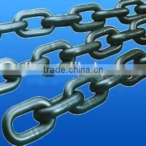 China Professional Factory Electric Hoist Chain thumbnail-1