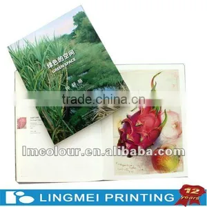 Small Brochure Printing Service With Small MOQ in Guangzhou thumbnail-1