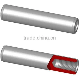 Parallel Pin With Internal Thread thumbnail-1