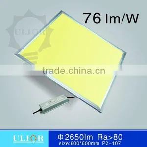 36W Warm White LED Panel Light 600x600 Double Color Led Panels thumbnail-1