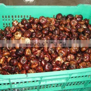 Wholesale Good Fresh Water Chestnut on Sale thumbnail-5