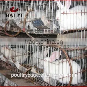 BAIYI Tiers and Cheap Poultry Farming Equipment For Rabbit (rabbit Cage) thumbnail-2