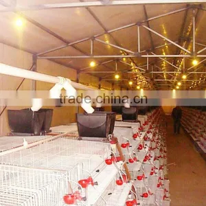 Hot Sale!commercial Galvanizd Quail Cage thumbnail-3