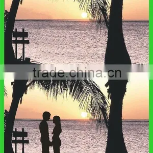 2012 Hot Selling Clearly Agean Sea Test Polarized Card Glasses thumbnail-1