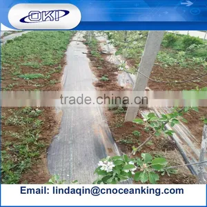 PP/PE Weed Control Mat thumbnail-1