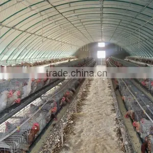 Large Span IE BV SGS Certificate Light Steel Structure Pourly House Chicken Animal Sheld thumbnail-4