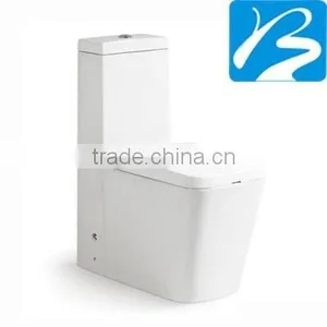 CE Certified Washdown Two Piece Toilet thumbnail-4