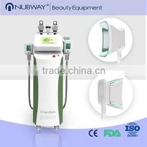 Body Shaping Fat Freeze Slimming!!!! Cryo Supplier Of Cryolipolysis Slimming Machine Slimming Reshaping thumbnail-1