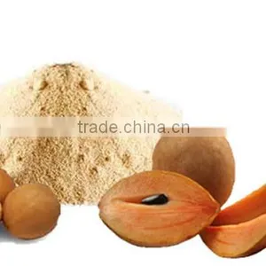 Spray Dried Chikoo Powder thumbnail-1