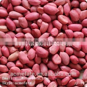 Chinese HACCP Certification Long Type Blanched Red Skin Peanut Kernels thumbnail-6